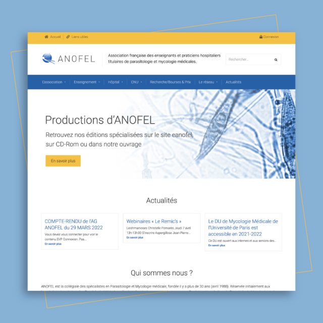 ANOFEL